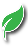 A green leaf. The logo of Green Growth Tree Surgery in Kent