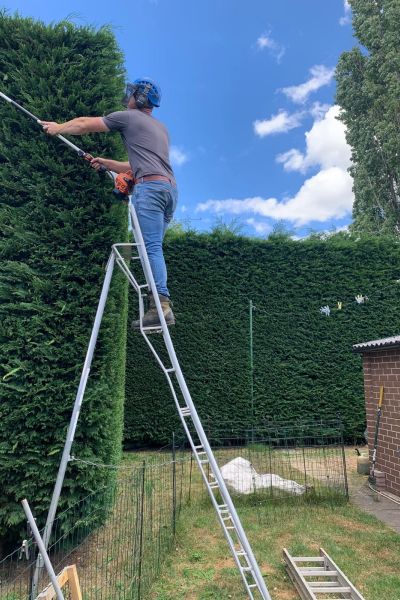 Nathan from Green Growth cuts a high hedge atop a ladder in Kent